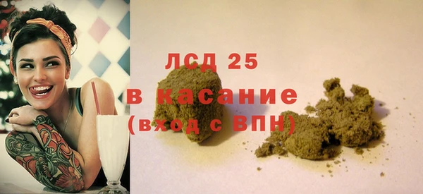 PSILOCYBIN Пересвет