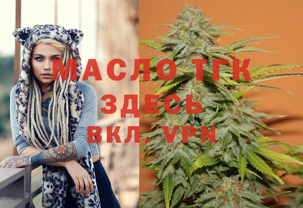 МДПВ Абаза